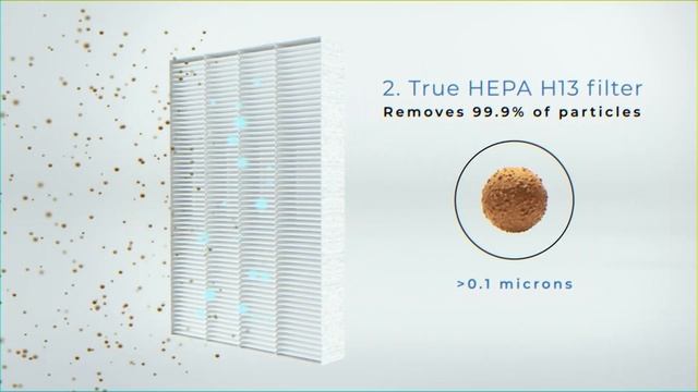TOP 5 BEST Air Purifier For Bedroom