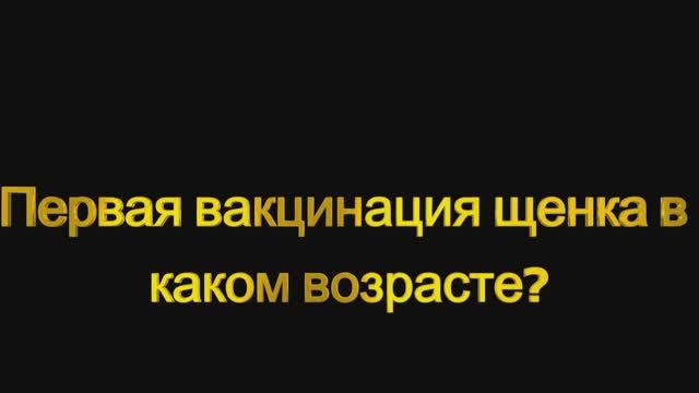 Вакцинация щенков в каком возрасте