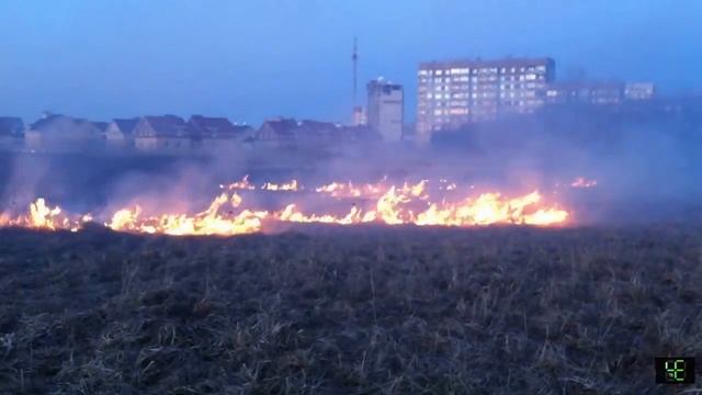 Пал травы. Завеличье