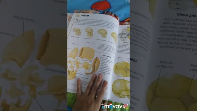 Распаковка посылки. Идеи подарков на новый год.