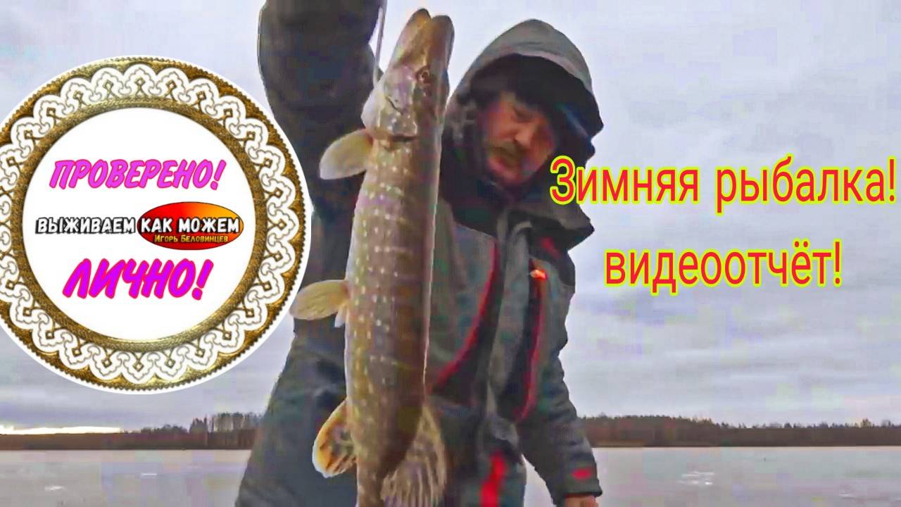 ЗИМНЯЯ РЫБАЛКА! ВИДЕО ОТЧЁТ! #щука #жерлица #лёд