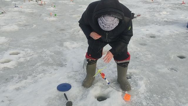 Поимки форели!!!