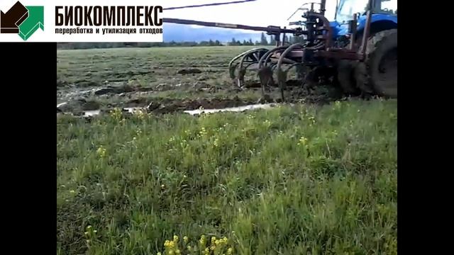 Внутрипочвенное внесение навоза. Июнь 17