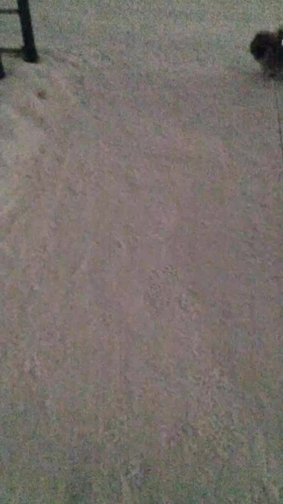 Я гуляю с собакой.