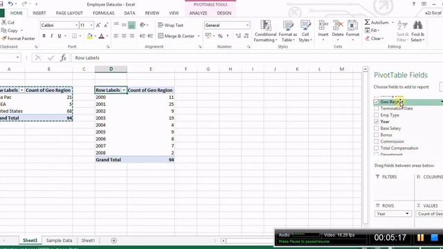 Pivot table in Excel 2013 - in Hindi version