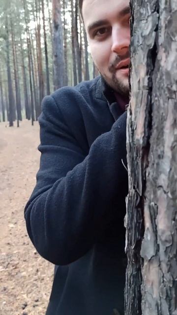 маэстро в сосновом лесу