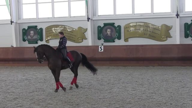 Аппервилле семинар (26)