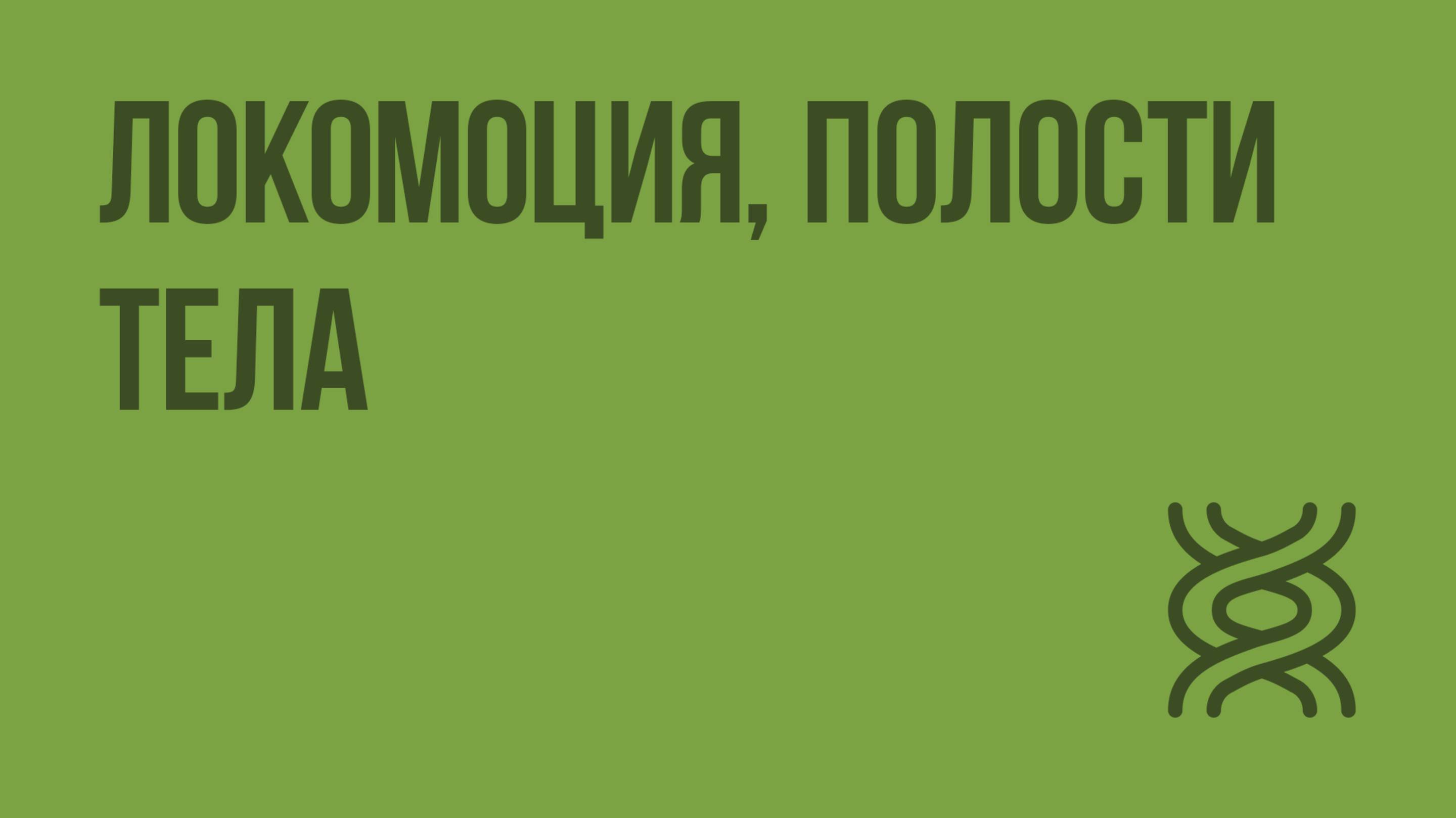 Локомоция, полости тела. Видеоурок по биологии 7 класс