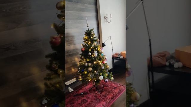 Илайкин Рекомендованные Декабрь Илай с Папай наридили ёлачку