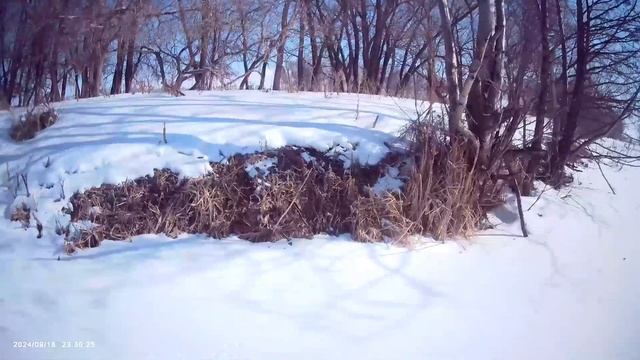 Рыбалка на реке Усень🎣
Клев вялый, зато хорошо провел время на природе в хорошей компании👍🎣