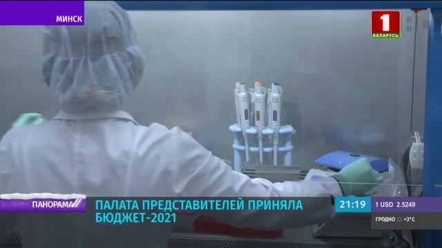 Парламент Беларуси принял проект бюджета на 2021 год. Панорама