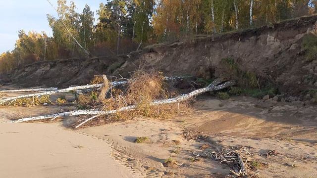 Иду по осеннему берегу Братского в-ща(23.09.24)