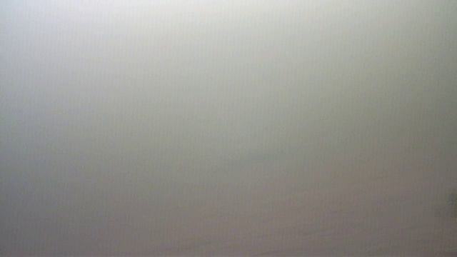 Целый день бродили, а потом нашли кучу рыбы