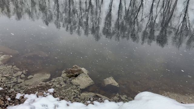 Весна за окном