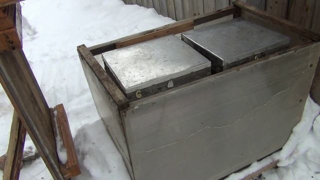 Зимовка пчёл в огороде.  ч. 1  (1 марта 2025)