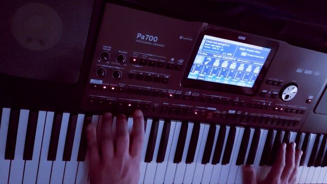 C C Catch - Cause you are young  / KORG PA 700 STYLE