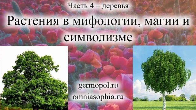 Растения в мифологии, магии и символизме. Часть 4 - Деревья
