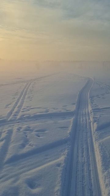 Выбрался в деревню и сразу...