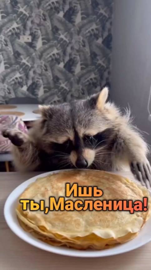 Ишь ты, Масленица! 🌞