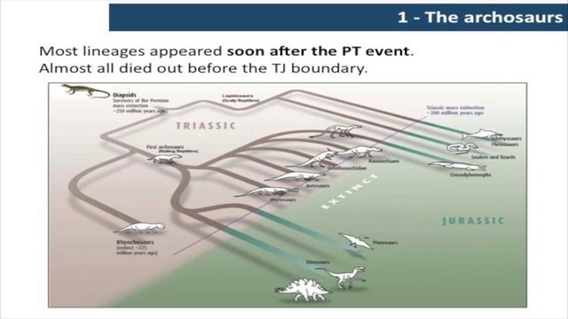 Giornate di Paleontologia XIV edizione - pomeriggio 13 giugno 2014