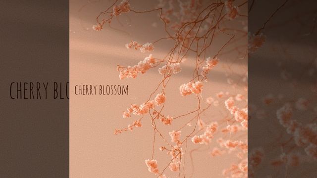 Cherry Blossom