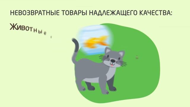 kzpp vozvrat 2020 rus
