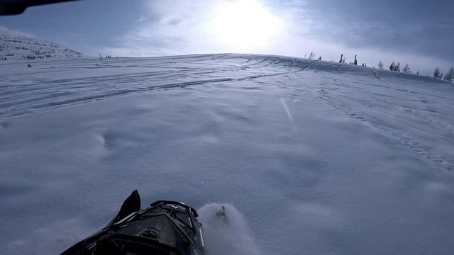 Приисковый 01.03