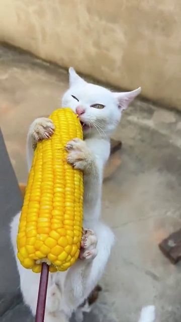 Хороший улов!