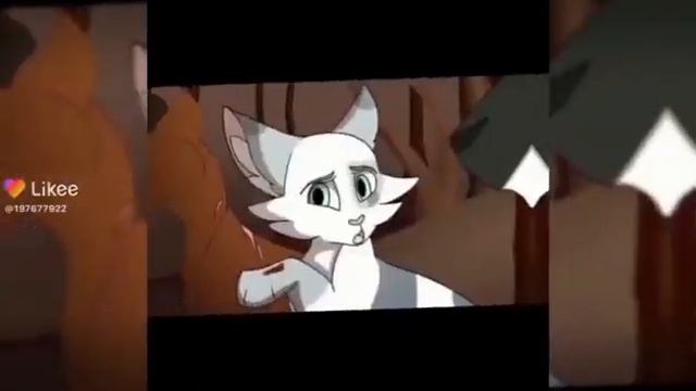коты воители