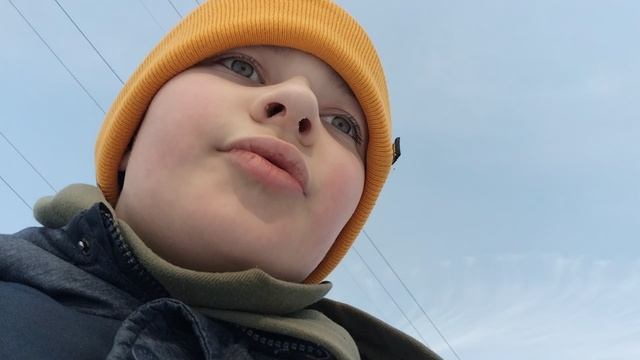 жалко лес 🎄😭