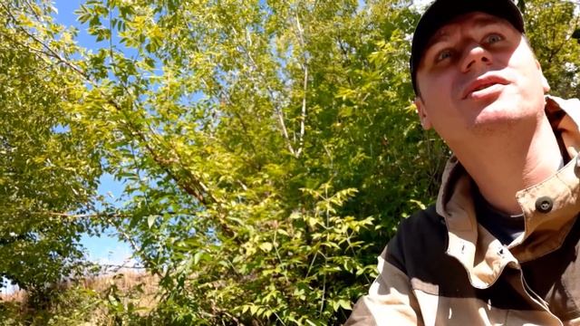 Рыбалка 2020г. #8