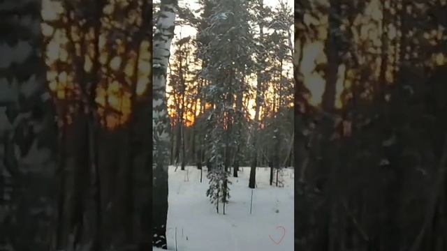 Отпусти меня и прости меня 🥺 CHEPIKK