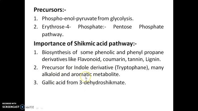 Shikmic acid pathway