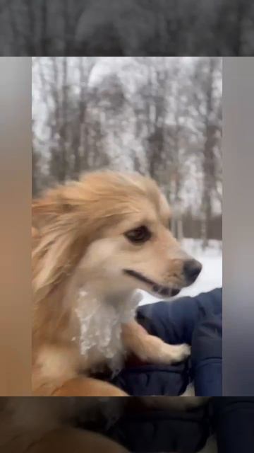 на рыбалку))))