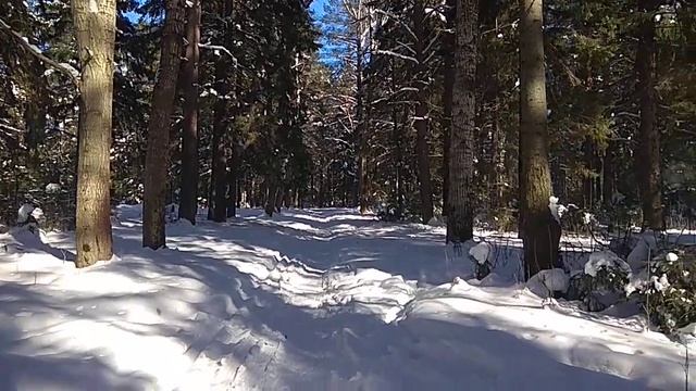 ЗДОРОВЬЕ ВОЗДУХ И ДВИЖЕНИЕ,оциркуляции воздуха в организме.
