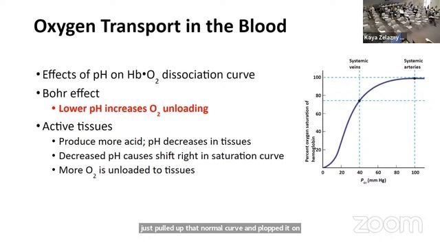 A&P Lecture