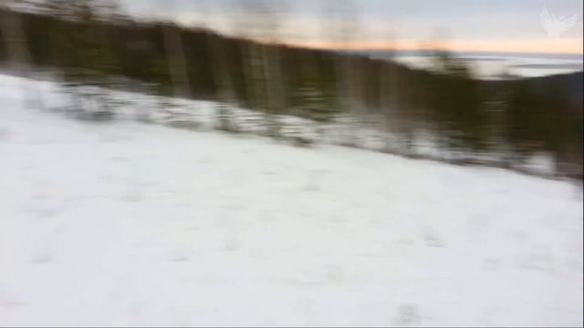 Сноуборд Флюс Ежи