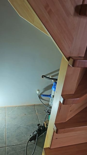 1000022163.mp4