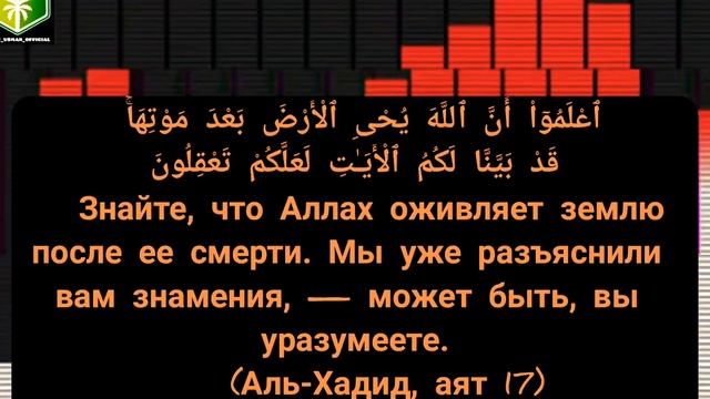 Чтец Мишари Рашид сура Хадид ( Железо )