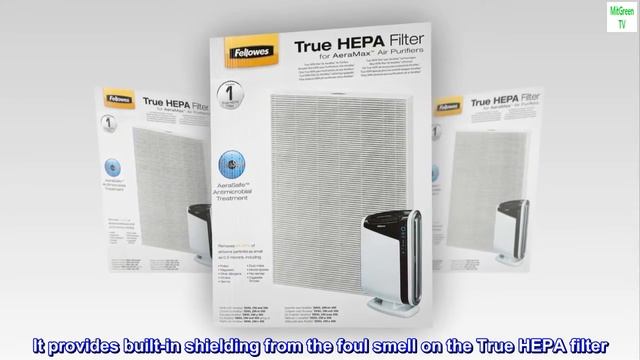 Fellowes AeraMax 290/300/DX95 Purifiers True HEPA Air Filter, 16.3" x 12.6" x 1.2", White, 9287201