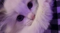 !