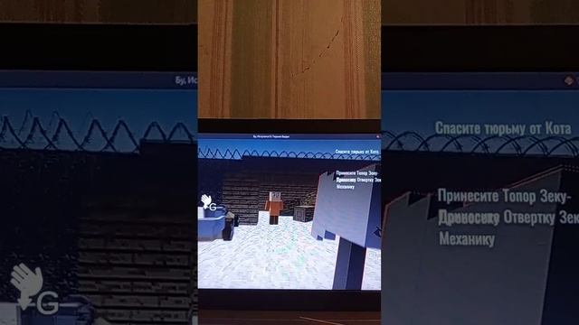 1000002801.mp4