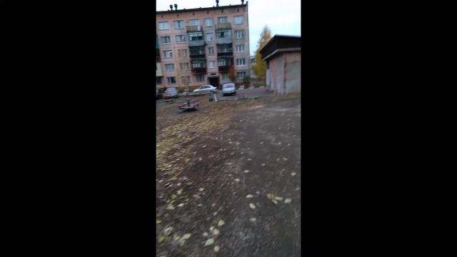 Утро 11.10.2022: возращаясь к незаконному неоднократному уничтожению молодого тополя с 2019 года.