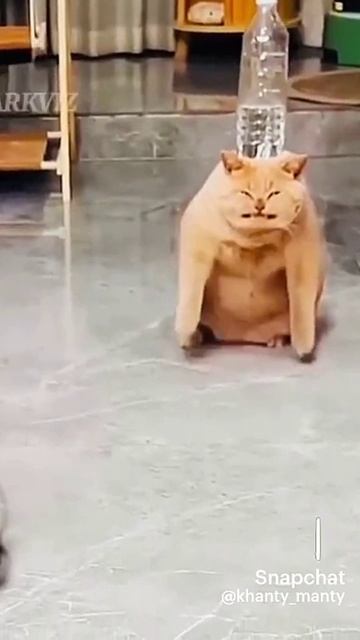 Сильный Кисик
