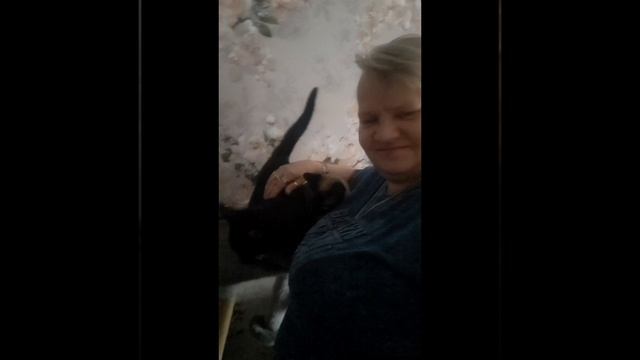 С 1 марта день кошек 😸🐾😻