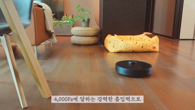 SUB) 슬기로운 살림 루틴 만들기 | 아침 청소 일상, 청소 루틴 Morning Cleaning Routine