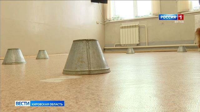 В Кировской области проводят исследования запаховых следов человека