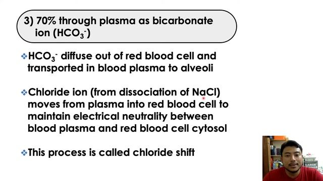 GASEOUS EXCHANGE [BIO4YOU] CHAPTER 7.1 BIOLOGY MATRIKULASI