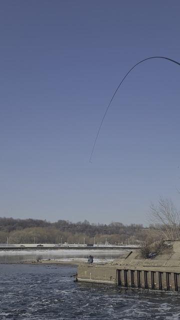 Сейрю Nissin royal stage 290. вываживание плотвы