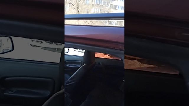 VID_20250301_150659.mp4